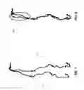Fig. 06 - Irregular feature mapping