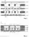 Fig. 04 - Sensor module and method of manufacturing the same