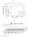 Fig. 14 - Stretchable electrically-conductive circuit and manufacturing method therefor