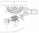 Fig. 01 - Phase synchronizing pulse amplitude modulation fluorometer
