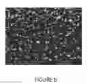 Fig. 09 - Nanocrystalline indium tin oxide sensors and associated method of use