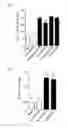 Fig. 04 - A METHOD OF SCREENING FOR A COMPOUND CAPABLE OF STIMULATING GLUCOSE TRANSPORT INTO BROWN AND/OR BRITE ADIPOCYTES OF A MAMMAL, A KIT FOR USE IN SUCH A METHOD