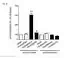Fig. 06 - A METHOD OF SCREENING FOR A COMPOUND CAPABLE OF STIMULATING GLUCOSE TRANSPORT INTO BROWN AND/OR BRITE ADIPOCYTES OF A MAMMAL, A KIT FOR USE IN SUCH A METHOD