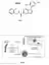 Fig. 17 - Cellular discovery platform for neurodegenerative diseases