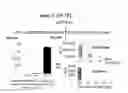 Fig. 25 - Substrates for detection of botulinum neurotoxin
