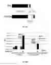 Fig. 32 - Substrates for detection of botulinum neurotoxin