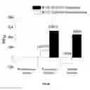 Fig. 55 - Substrates for detection of botulinum neurotoxin