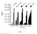 Fig. 57 - Substrates for detection of botulinum neurotoxin
