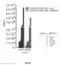 Fig. 58 - Substrates for detection of botulinum neurotoxin