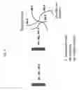 Fig. 06 - Wide range luminescent immunoassays