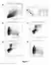 Fig. 03 - Cell surface signature for processing cardiomyocyte subsets from heterogeneous cell samples