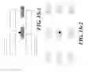 Fig. 35 - Devices for detecting or filtering tumor cells