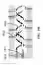 Fig. 44 - Devices for detecting or filtering tumor cells