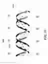 Fig. 61 - Devices for detecting or filtering tumor cells