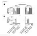 Fig. 05 - Method for Determining Antibody Specificity