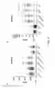 Fig. 03 - Methods of treatment of primary sclerosing cholangitis