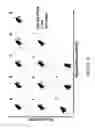 Fig. 18 - METHODS FOR TREATING BLEEDING DISORDERS USING A PLATELET SUBPOPULATION