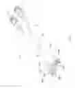 Fig. 22 - WHEEL SPEED SENSOR