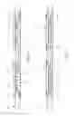 Fig. 07 - Probe seat of vertical probe device