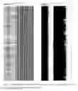 Fig. 03 - Advanced noise reduction in acoustic well logging