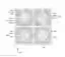 Fig. 15 - Liquid crystal display device