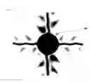 Fig. 07 - Liquid crystal display