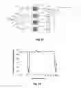 Fig. 16 - OPTICALLY ACTIVE MATRIX WITH VOID STRUCTURES