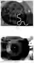 Fig. 04 - Pattern definition of nanocellulose sheets through selective ashing via lithographic masking