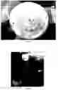 Fig. 06 - Pattern definition of nanocellulose sheets through selective ashing via lithographic masking