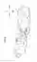 Fig. 09 - Packaging unit including image forming apparatus with developer cartridge mounted therein and packaging member in which image forming apparatus is packaged