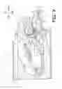 Fig. 10 - Image forming apparatus