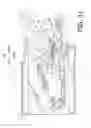 Fig. 12 - Image forming apparatus