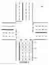 Fig. 07 - Traffic signal timing estimation using a support vector regression model