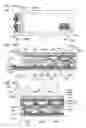 Fig. 15 - Display device