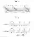 Fig. 10 - Display device, method of driving the same, and driving circuit thereof
