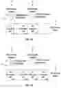 Fig. 04 - Enhanced multi-stream operations