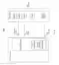 Fig. 07 - Memory management systems and methods