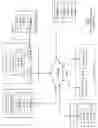 Fig. 02 - Optimized caching of slices by a DS processing unit
