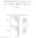 Fig. 25 - SYSTEMS AND METHODS FOR RECOGNIZING, CLASSIFYING, RECALLING AND ANALYZING INFORMATION UTILIZING SSM SEQUENCE MODELS