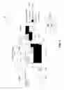 Fig. 05 - Paged inverted index