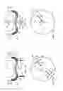 Fig. 08 - Multilevel force balanced downhole drilling tools and methods