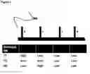 Fig. 03 - Combined CGH and allele specific hybridisation method