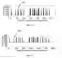 Fig. 05 - System and method for uncovering covert timing channels