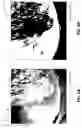 Fig. 07 - Weather information extraction using sequential images