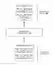 Fig. 01 - RESIZING NEURAL NETWORKS