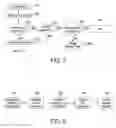Fig. 07 - Counterfeit Product Detection and Content Management System