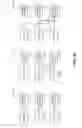 Fig. 18 - TRIPLE BUFFERED CONSTANT BUFFERS FOR EFFICIENT PROCESSING OF GRAPHICS DATA AT COMPUTING DEVICES