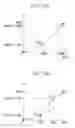 Fig. 11 - Image processing apparatus, image processing method, and storage medium