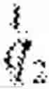 Fig. 06 - Dynamic image denoising using a sparse representation