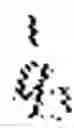 Fig. 07 - Dynamic image denoising using a sparse representation